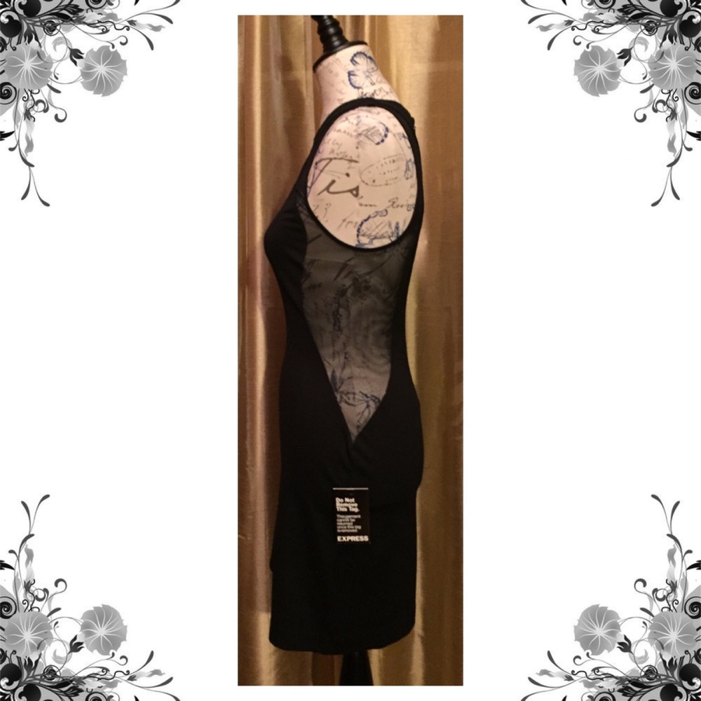 Express Sheer Panel Black Dress